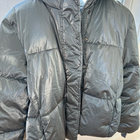 Puffer - Picture 7 of 7